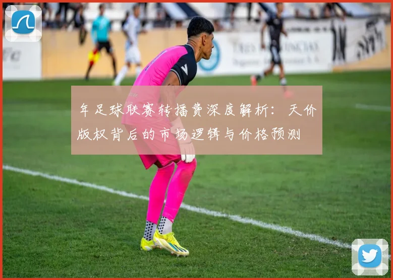 年足球联赛转播费深度解析：天价版权背后的市场逻辑与价格预测