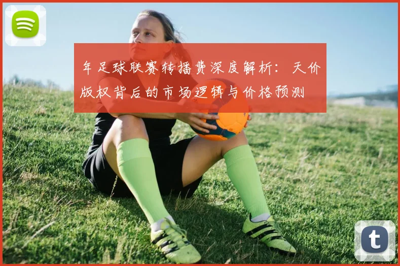 年足球联赛转播费深度解析：天价版权背后的市场逻辑与价格预测